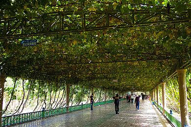 《七大罪：起源》招募封闭B测玩家 10月30日开启测试